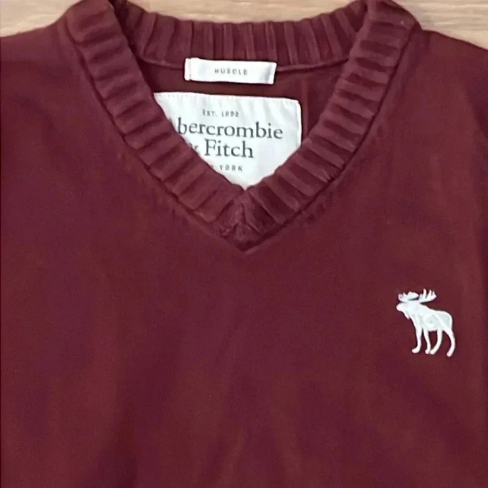 A & F | Y2K v-neck Muscle pullover sweater Mens size L moose logo fitted maroon - Picture 3 of 8